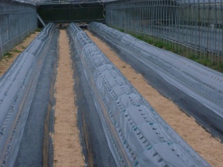 f0055264_22253729.jpg