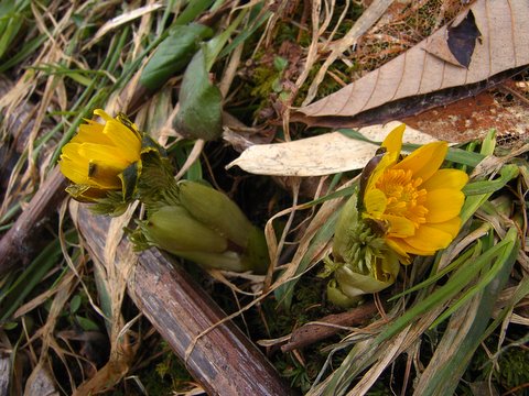 b0130166_8132599.jpg
