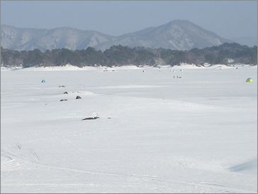 c0221169_2235642.jpg