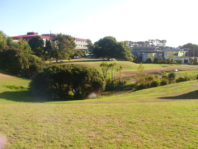 d0005370_15564344.jpg
