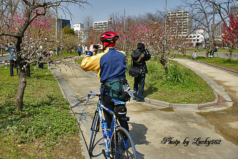 e0002371_2124599.jpg