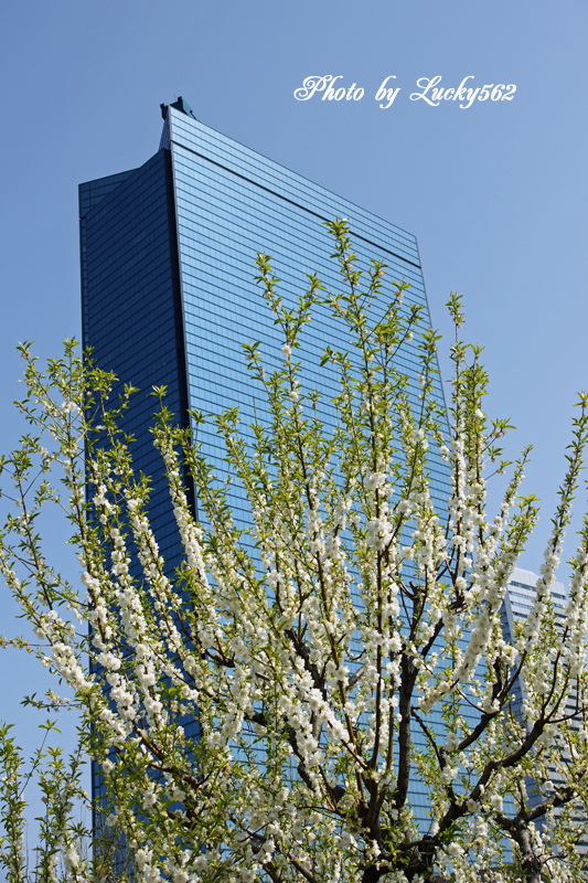 e0002371_21472511.jpg