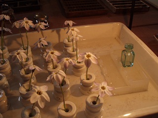 c0214272_92759100.jpg