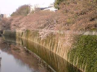 a0083273_1182952.jpg