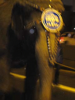 f0056476_16293186.gif