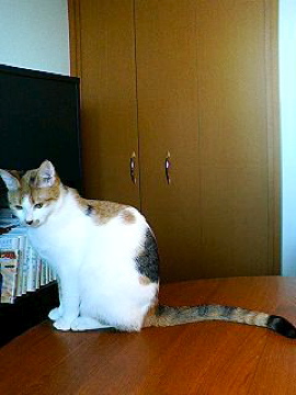 f0054677_8273797.jpg