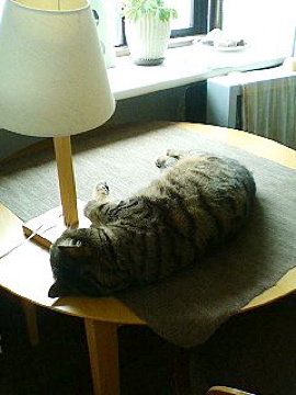 f0054677_828360.jpg