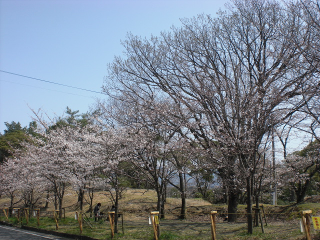 c0228378_115424.jpg