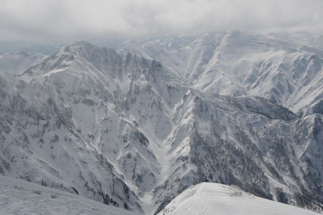 d0079579_5501598.jpg