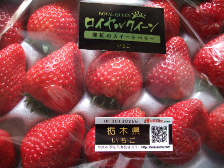 f0039281_853775.jpg