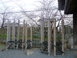 f0221382_921625.jpg