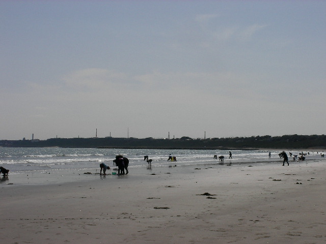 c0214384_21102857.jpg