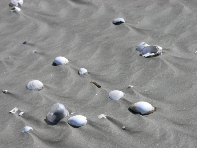c0214384_217215.jpg