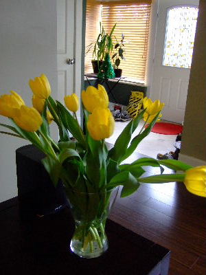 e0170687_10421100.jpg
