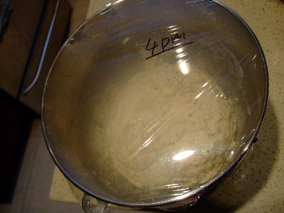 e0170687_1058669.jpg