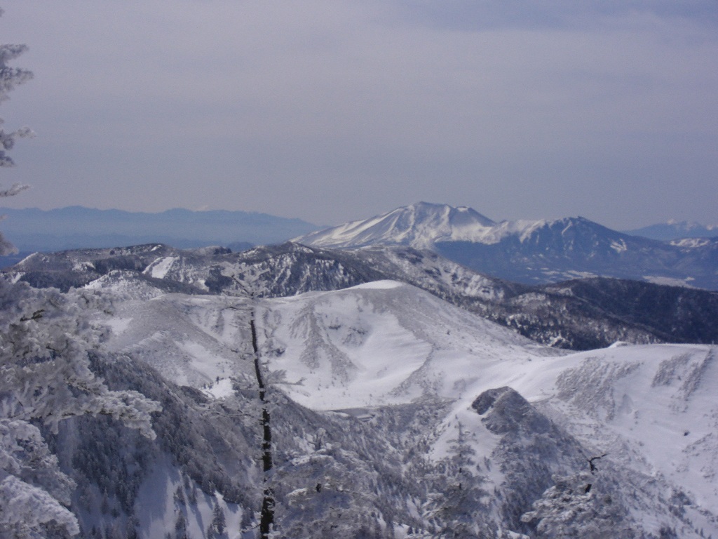 b0017892_21582590.jpg
