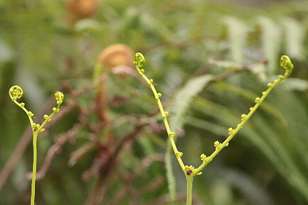 d0133693_21433034.jpg