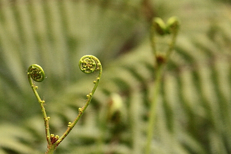 d0133693_21433519.jpg