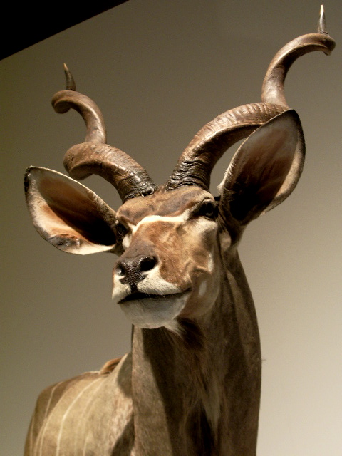 a0061594_22161272.jpg