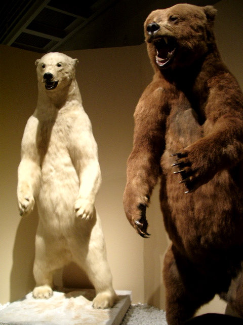 a0061594_22182370.jpg