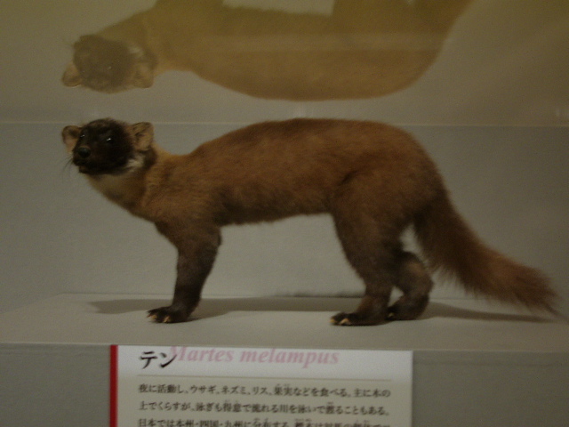 a0061594_22194346.jpg