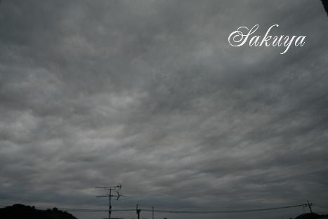 e0122194_14183197.jpg