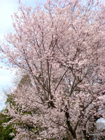 f0137694_164817.jpg