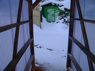 c0107997_13026.jpg