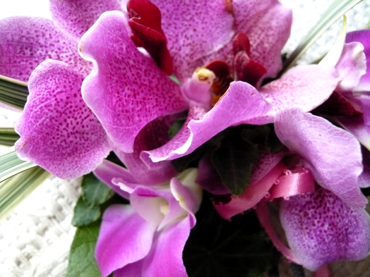 c0124998_1105160.jpg