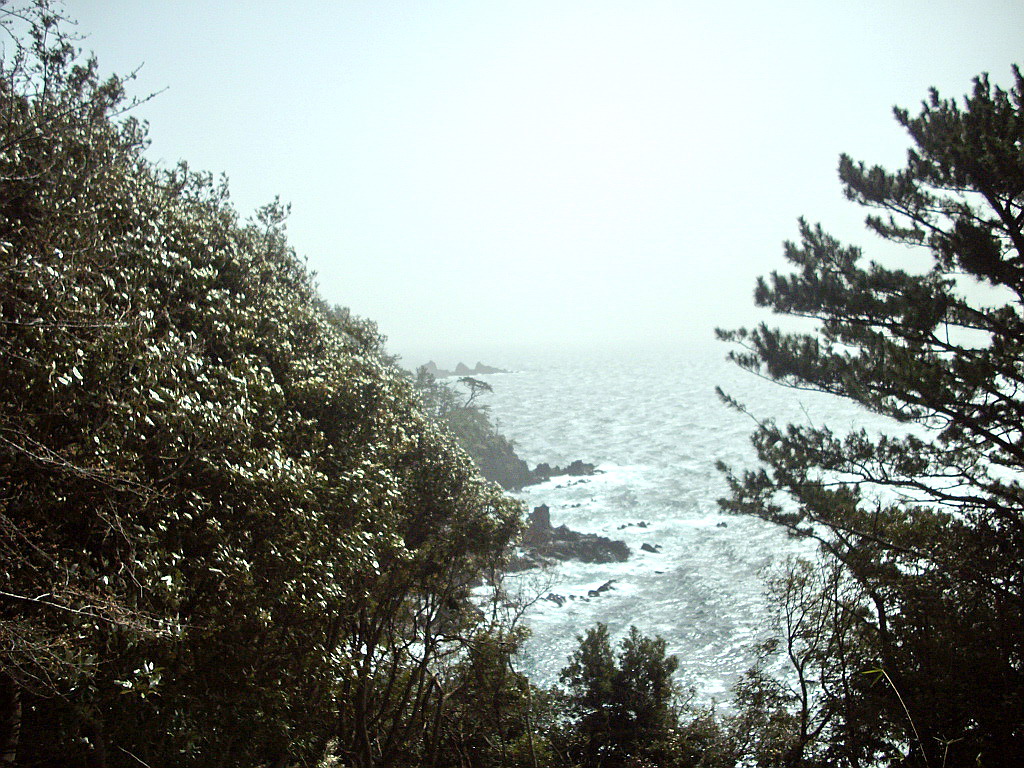 c0138198_14104995.jpg