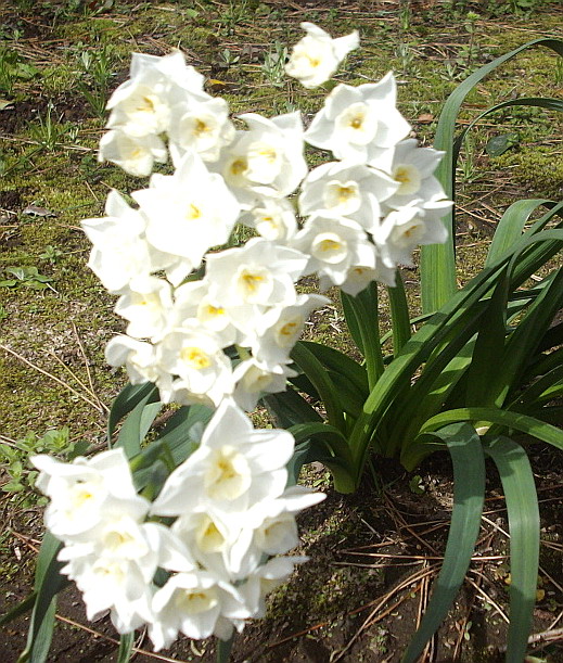 c0138198_14115079.jpg