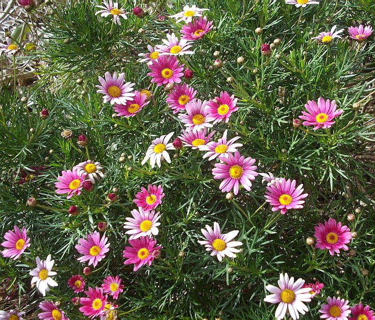 c0138198_14123399.jpg