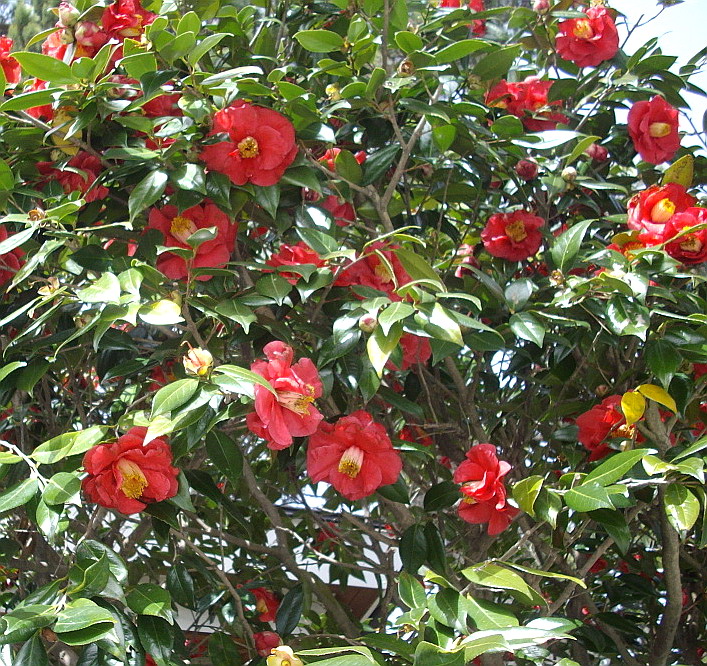 c0138198_14131978.jpg