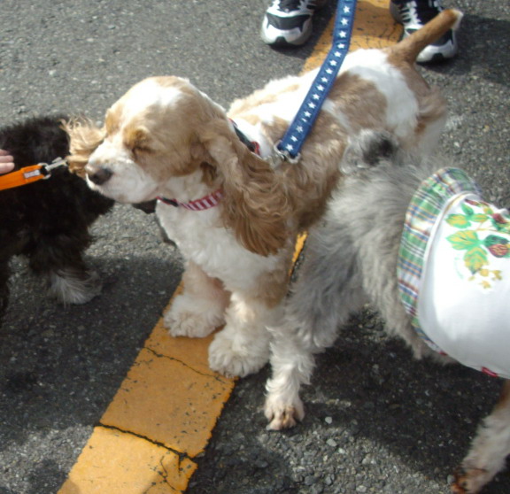 c0138198_1424190.jpg