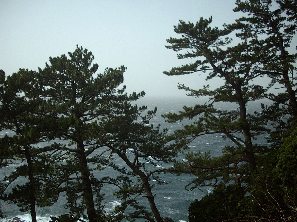 c0138198_14335697.jpg