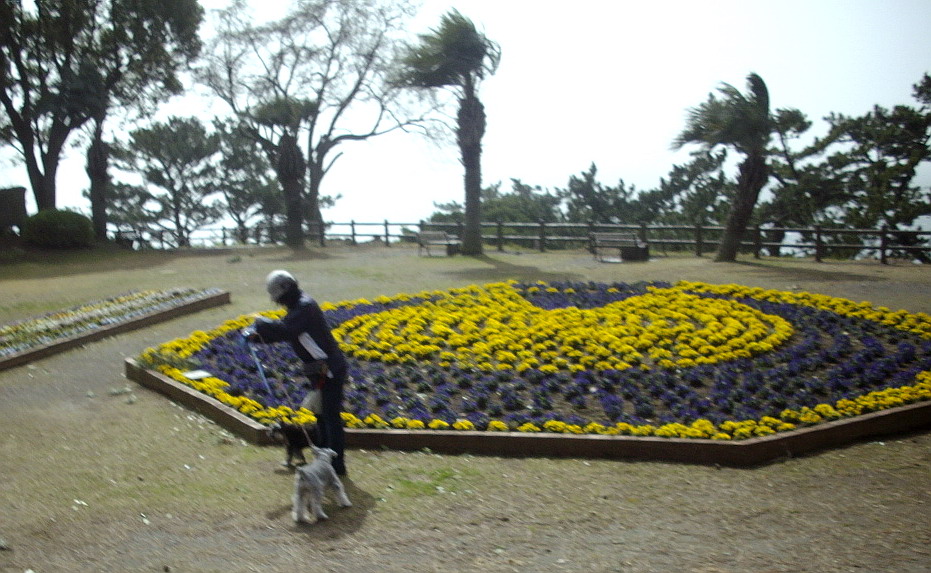 c0138198_1482810.jpg