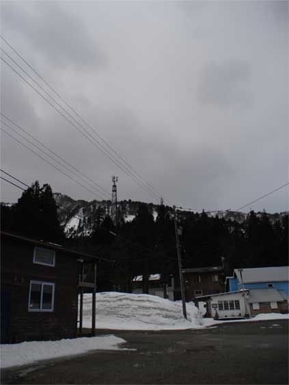 a0061599_774885.jpg