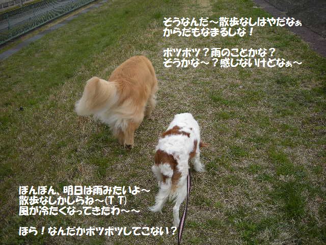 e0130299_23395074.jpg