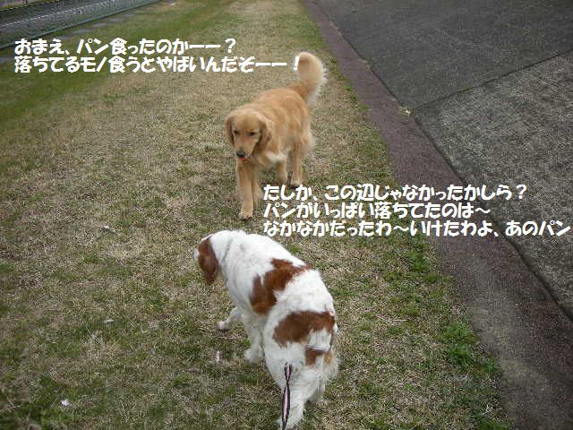 e0130299_23405113.jpg