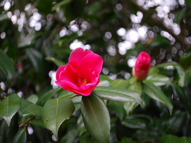 e0025300_11541830.jpg
