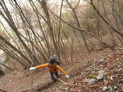 f0187402_19395818.jpg