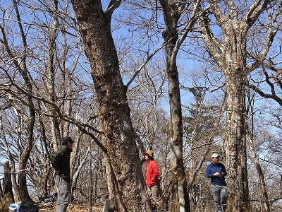 f0187402_19405570.jpg