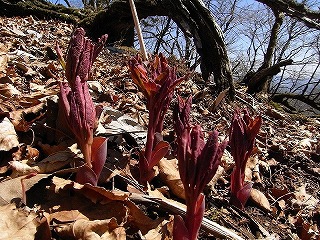 f0187402_19412016.jpg
