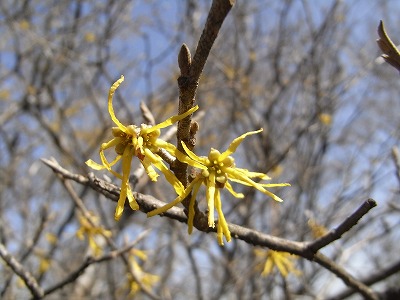 f0187402_2045679.jpg