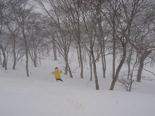 b0187505_2052150.jpg