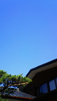 c0017505_12361970.jpg