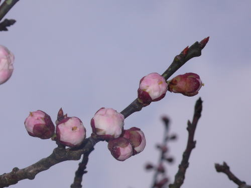 c0035912_2022235.jpg