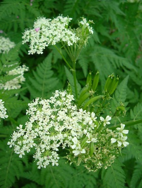 e0046112_2337361.jpg