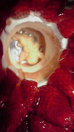 f0083013_9415466.jpg