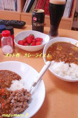 b0102728_12383376.jpg
